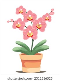 orchid pastel colors in pot, flower minimal style, vector illustration