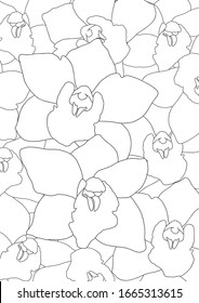 Orchid pattern coloring book. Coloring page. Flower pattern. Vector floral background. Flower for antistress book. emotional therapy art. line art realistic orchid 