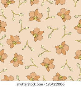 Orchid pattern in pastel colors, doodle orchid vector texture, tropical seamless pattern in hand-drawn style, peach color pattern with tropical flowers