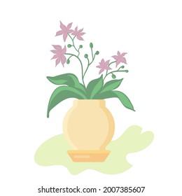 Orchid Phalaenopsis houseplant, potted flower vector illustration