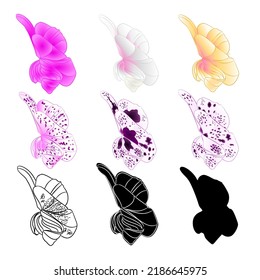 Orchid Phalaenopsis various colours natural, outline, silhouette,flower eleven  vector