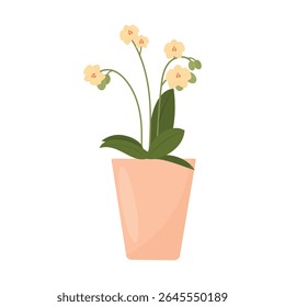 Orchid plant in pot. Indoor potted plants. House Plants for interior home decoration. Vector illustration, flat style.