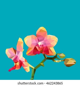 Orchid polygonal