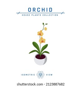 Orchid in pot isometric icon. Potted house flower in flat style for interior designs. Vector illustration isolated on a white background.