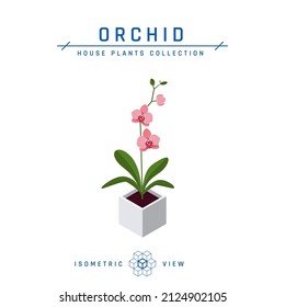 Orchid in pot isometric icon. Potted house flower in flat style for interior designs. Vector illustration isolated on a white background.