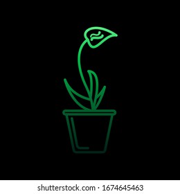 Orchid in Pot nolan Symbol. Einfache dünne Linie, Vektorillustration der Blumensymbole für i und ux, Website oder mobile Anwendungen