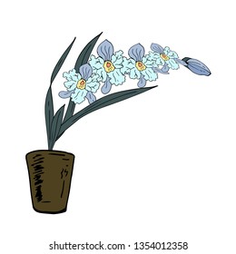 Orchid in a pot. Vector illustration.