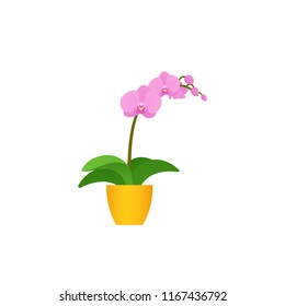 Orchid potted plant in pot. Vector. Indoor flower in flat design isolated on white background. Animated houseplant. Cartoon colorful illustration.
