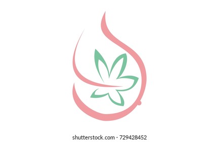 Orchid Pregnant Care 