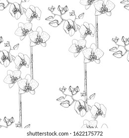 Orchid seamless pattern black & white