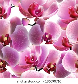 Orchid seamless pattern. Vector illustration, EPS 10