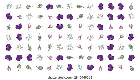 Orchid seamless pattern vector illustration with violet flowers and green foliage