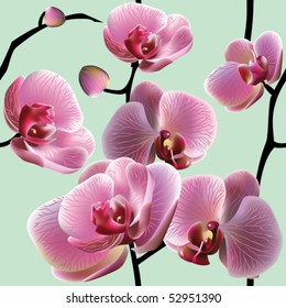 Orchidee nahtlose Textur