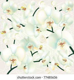 Orchid seamless texture