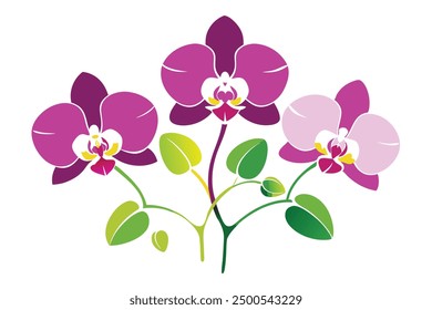 Orchid set flower silhouette vector