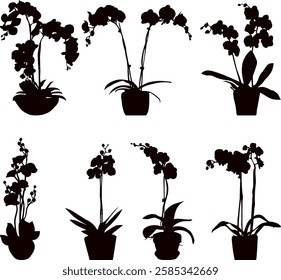 orchid set silhouette on white background vector