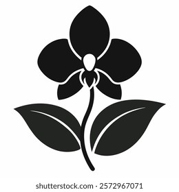 Orchid silhouette vector on white background