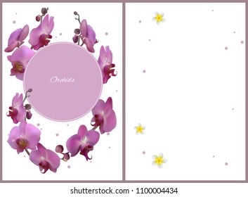 Orchid. Tropical flowers. Floral background. Pattern. Exotic plants. Branch. Buds. Purple. Card. Template. Plumeria.