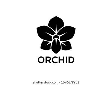 Orchid vector flower isolated on white background