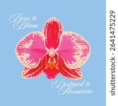 Orchid Vector Graphic with Text
