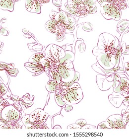 Orchid. Vector hand-drawn illustration. Lovely parasite flower. Exotic flower with aerial roots.
Seamless pattern.