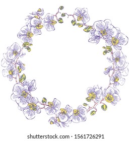 Orchid. Vector hand-drawn illustration. Lovely parasite flower. Exotic flower with aerial roots.Wreath. Circular print. a ring of flowers. A plant painted in a circle.