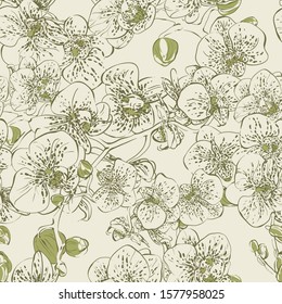 Orchid. Vector hand-drawn illustration. Lovely parasite flower. Exotic flower with aerial roots.
Seamless pattern.