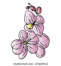 Orchid vector illustration on white background. Doodle style. Design icon, print, logo, poster, symbol, decor, textile, paper, card. 