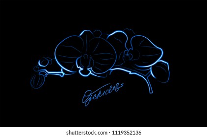 orchid, vector image, eps10