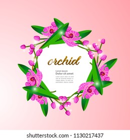 Orchid vector premium illustration