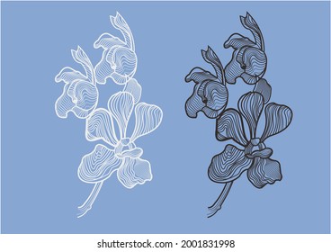 Orchid vector work to create dimension