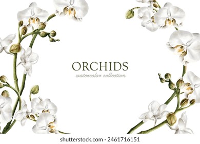 Orchidee Aquarell Vektorgrafik auf weißem Hintergrund Design. Geeignet für Einladungen, Banner, Poster, Hintergrund oder Dekoration.