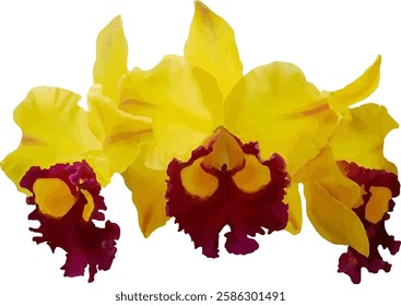 orchid yellow flower vector design graphic15