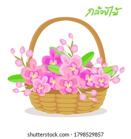 Las orquídeas en la canasta en idioma tailandés significan "orquídeas"