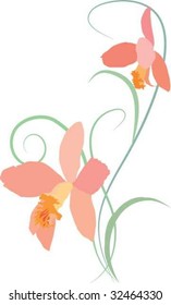 orchids corner arrangement