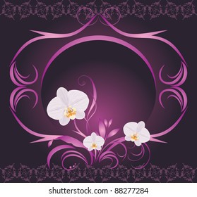 Orchids in the decorative frame. Vector