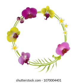 Orchids. Flowers. Yellow. Tropical background. Palm leaves. Green. Exotic plants. Buds. Wreath. Plumeria. Pink.