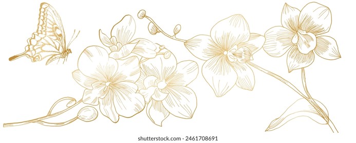 orchids golden gradient on white background with butterfly