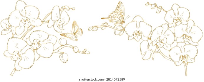 orchids golden gradient on white background with butterfly on white background,long, clouse-up