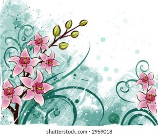 Orchids. Grunge floral background.