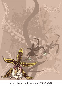 Orchids hand drawn still life, with grunge background, file has no gradients.