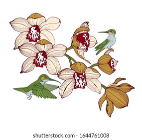 orchids and hummingbirds, composition for design, vector illustration