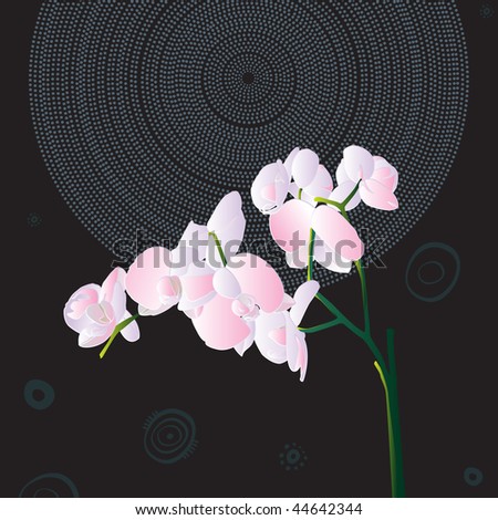 Similar – Image, Stock Photo green stuff Plant Orchid