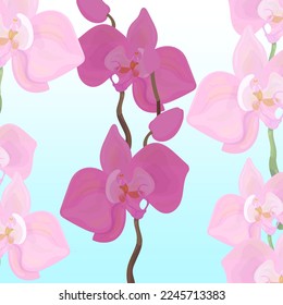 orchids on a light blue background. Vector illustration