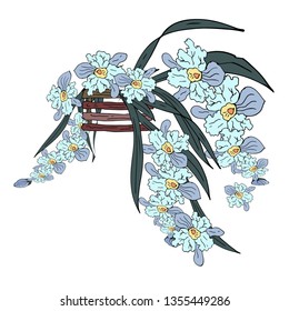 Orchids in pots. Vector illustration.