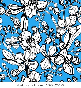 Ilustración vectorial de orquídeas. Ilustración vectorial floral en blanco y negro sobre fondo azul. Elemento de diseño