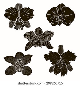 Orchids. Vector set of five different silhouettes orchids. Elements for design.