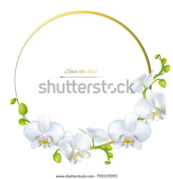 Orchids White Flowers Tropical Plants Floral Stock Vector (Royalty Free