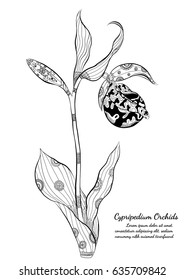 Orchids zentangle on white background.Orchids zentangle by hand drawing