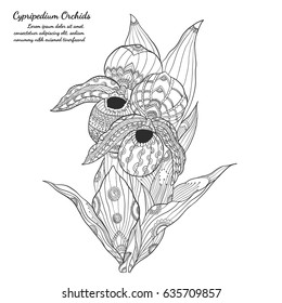 Orchids zentangle on white background.Orchids zentangle by hand drawing